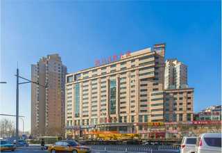 湖北全自动压片机