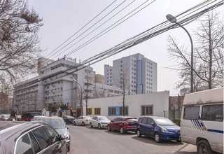 双流区专业找平石膏质量保证