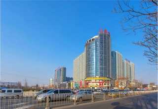 河南合金粉末材料撕碎机刀片耐高温刀口焊接