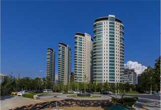 平顶山全新叉车